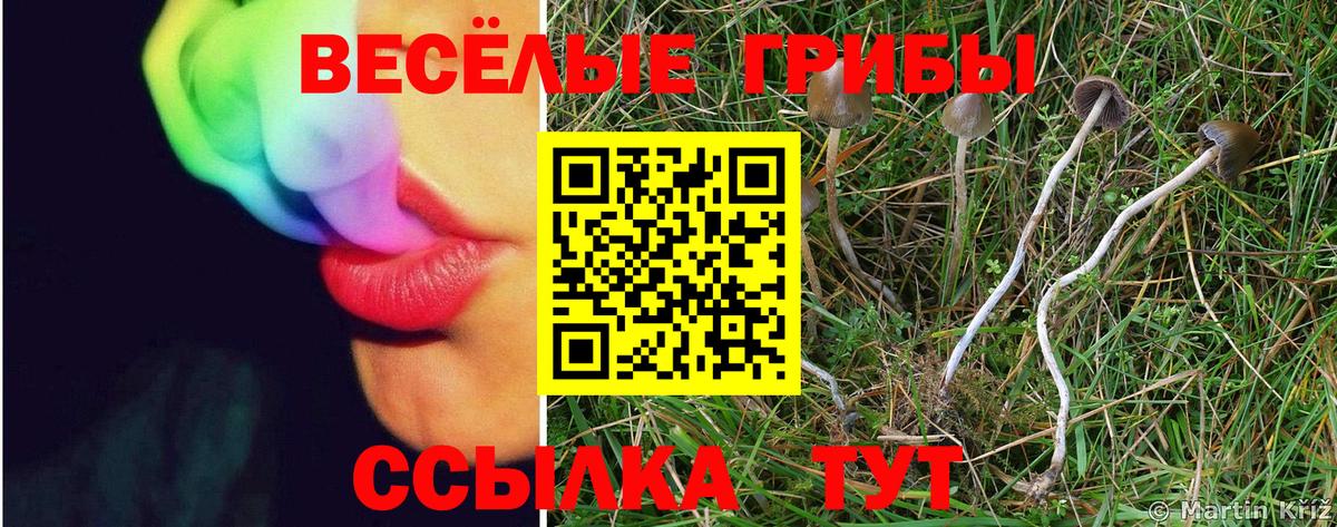 Псилоцибиновые грибы MAGIC MUSHROOMS  Вход с VPN  Электрогорск 
